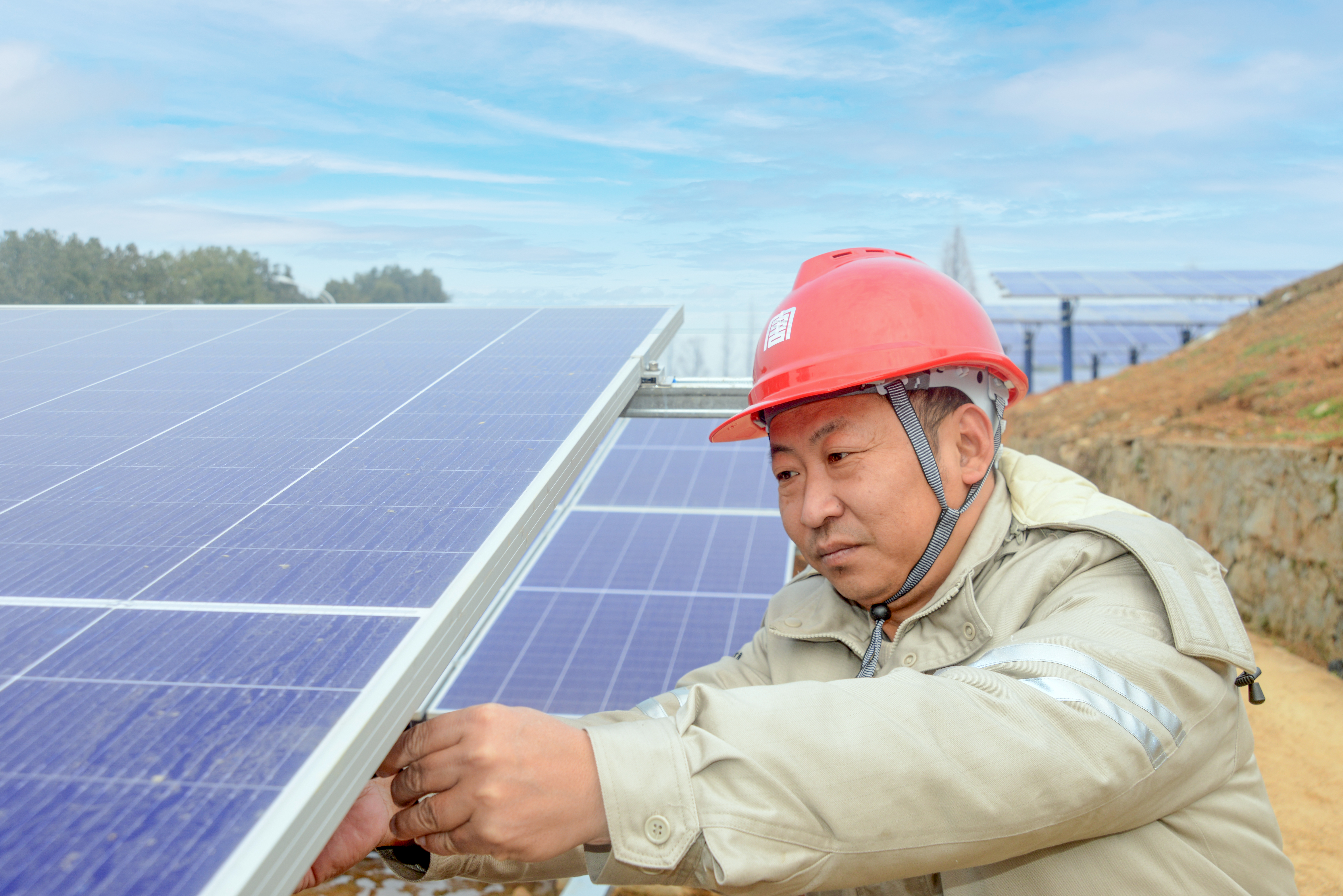 1707187595602035323.jpg 顾奇辉1.jpg