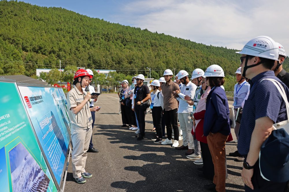 1727575476025047250.jpg 1727575476025047250.jpg